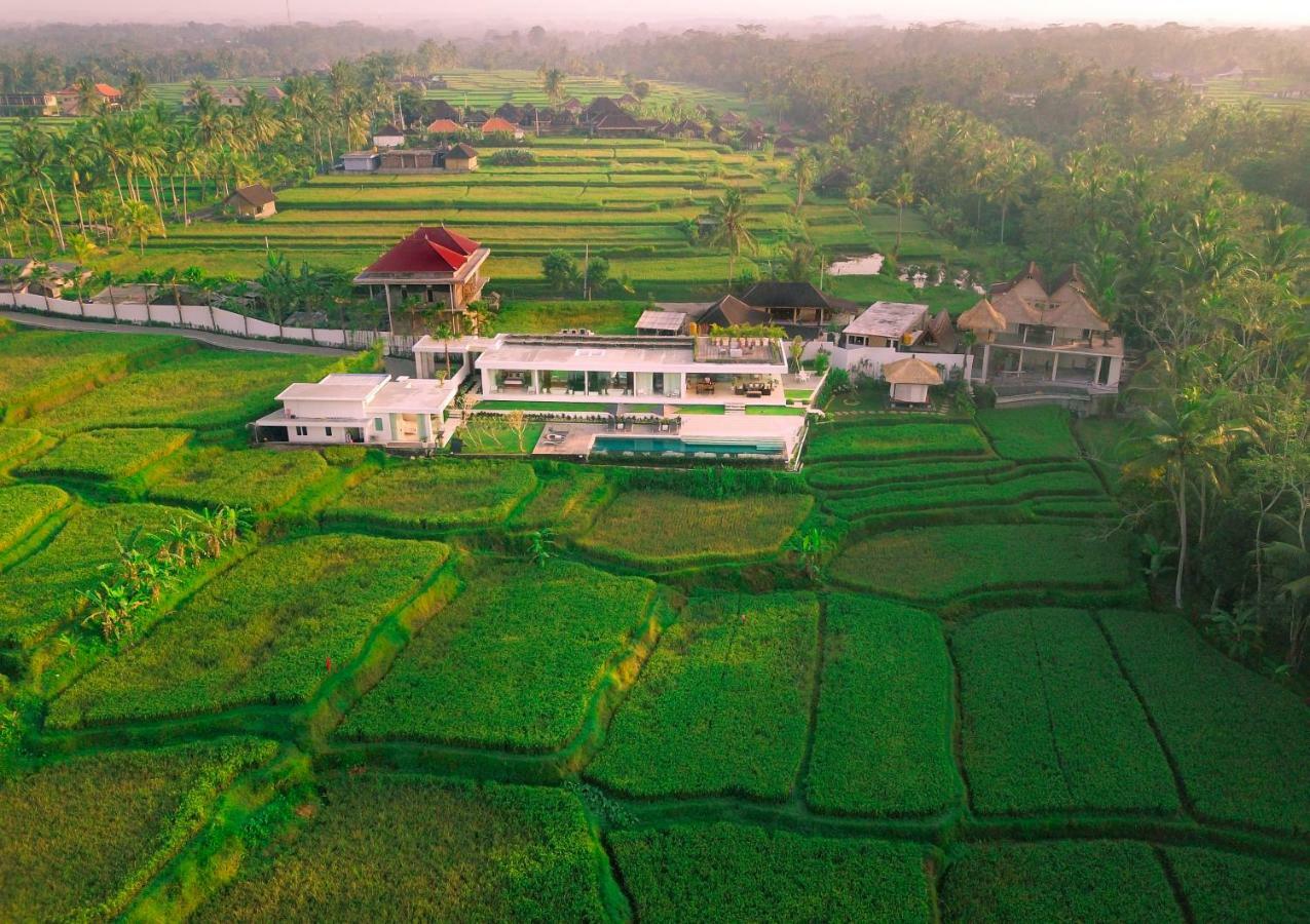 Villa Harta Ubud Eksteriør billede